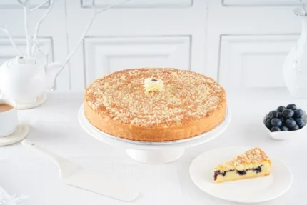 SEND BLUEBERRY DRY CAKE