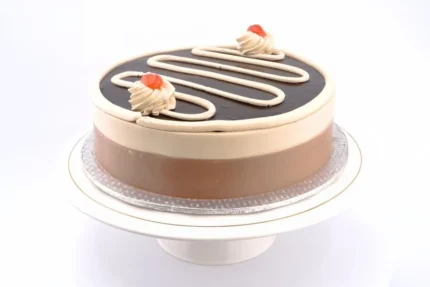 SEND JAVA MOUSSE CAKE
